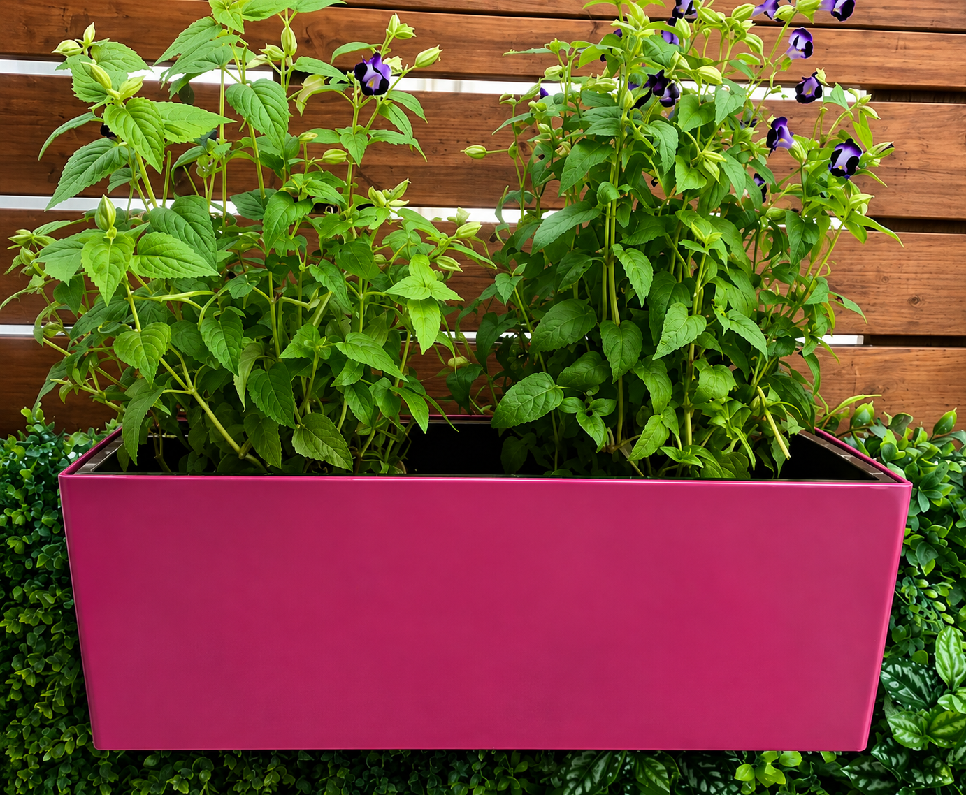 Rail-Mount Fence/Balcony Planter